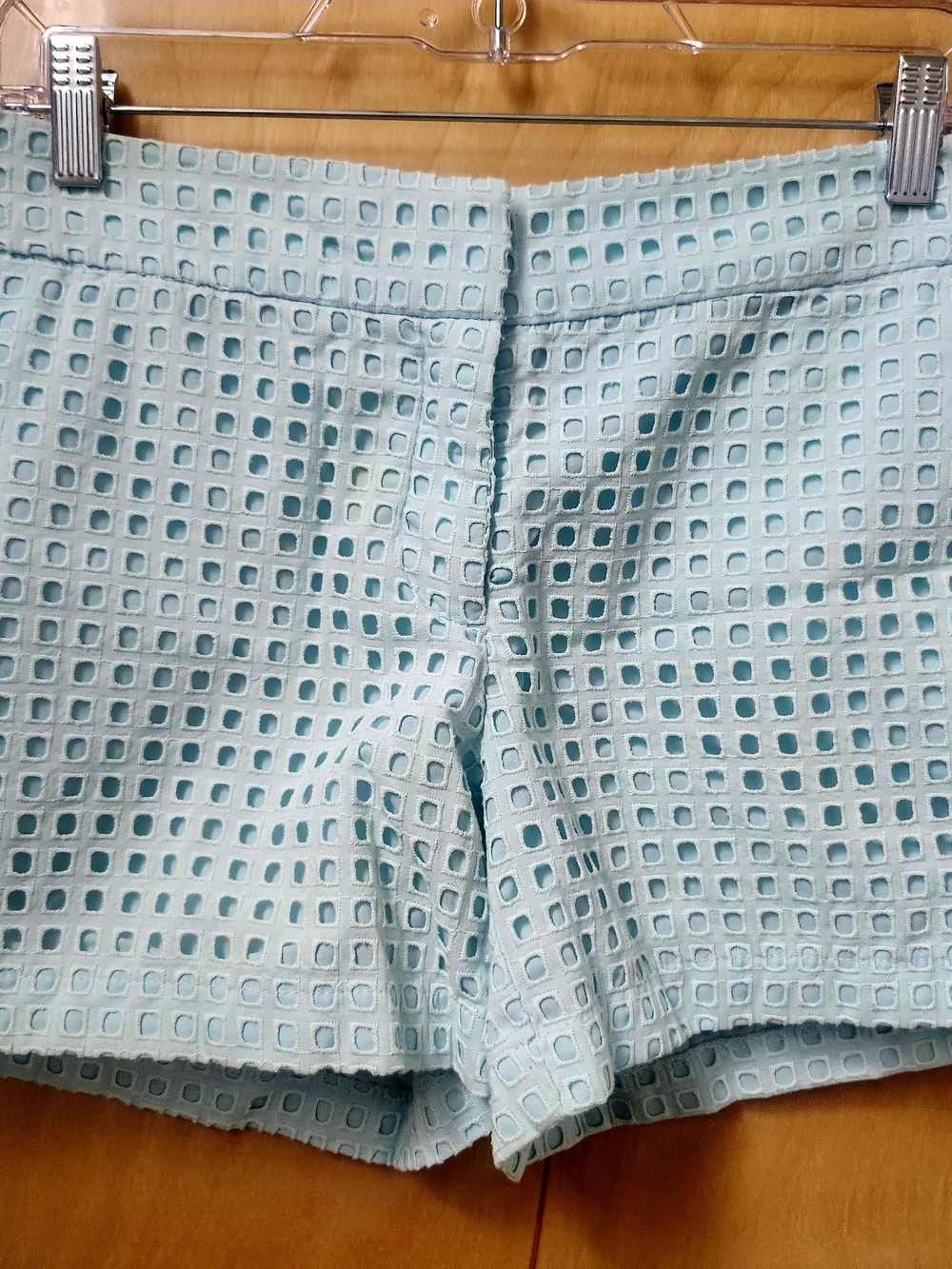 Women’s Light Aqua Eyelet Shorts